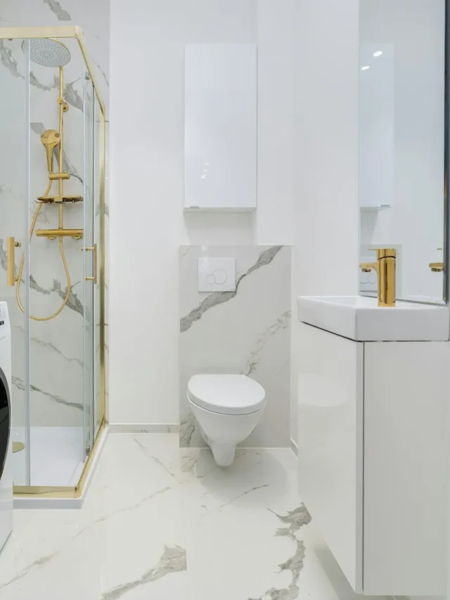 Western Toilet Exporter Manufacturer & Supplier