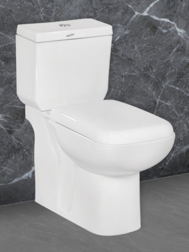 Wall Hung Water Closet